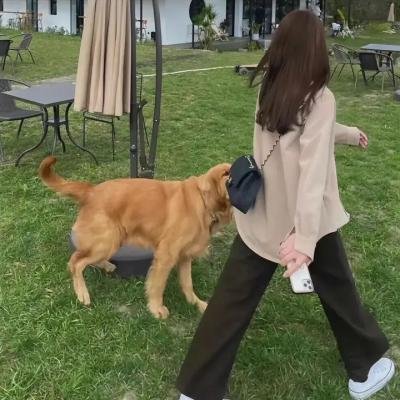 再见，我的王后